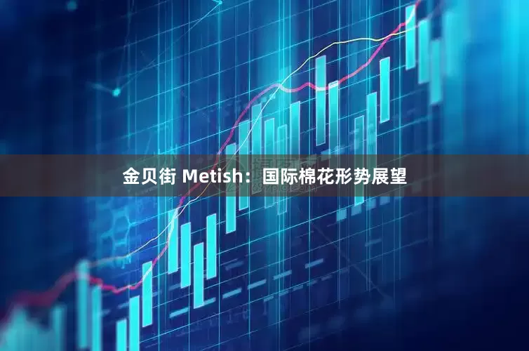 金贝街 Metish：国际棉花形势展望
