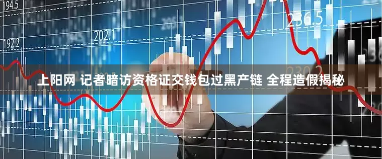 上阳网 记者暗访资格证交钱包过黑产链 全程造假揭秘