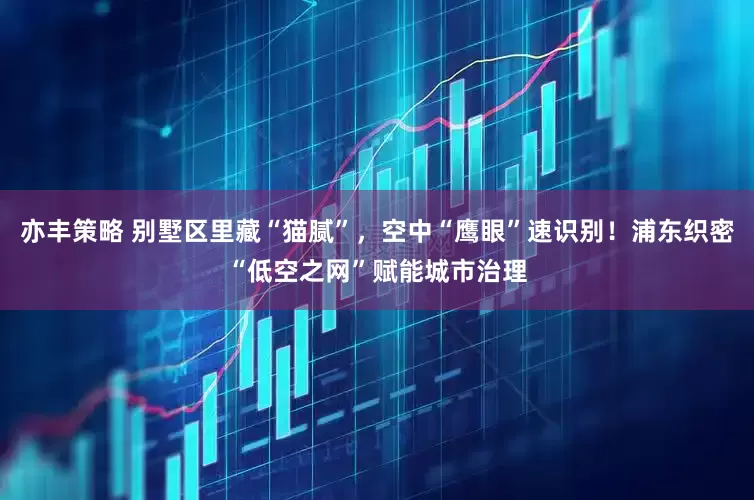 亦丰策略 别墅区里藏“猫腻”,空中“鹰眼”速识别!浦东织密“低空之网”赋能城市治理